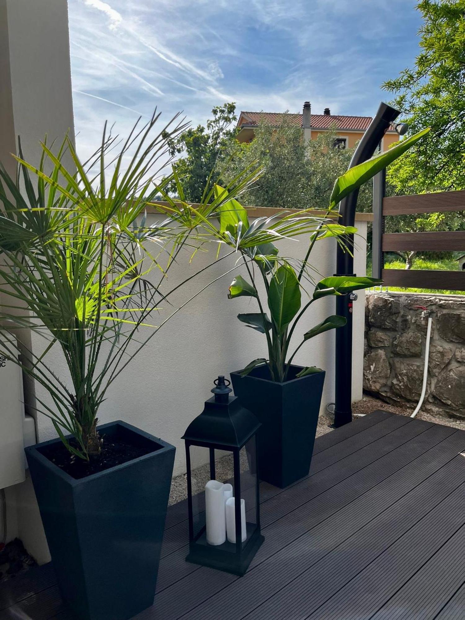 Studio Apartment Rosa Krk Krk Town Εξωτερικό φωτογραφία